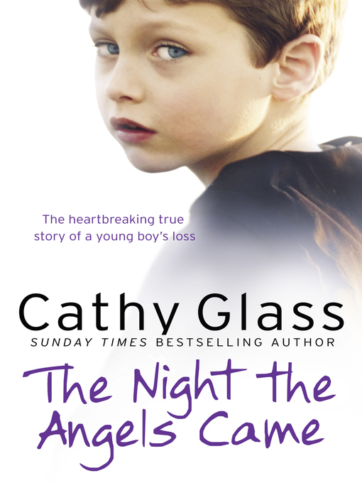 Cover image for The Night the Angels Came